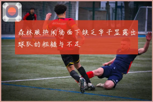 森林狼热闹场面下缺乏华子显露出球队的粗糙与不足