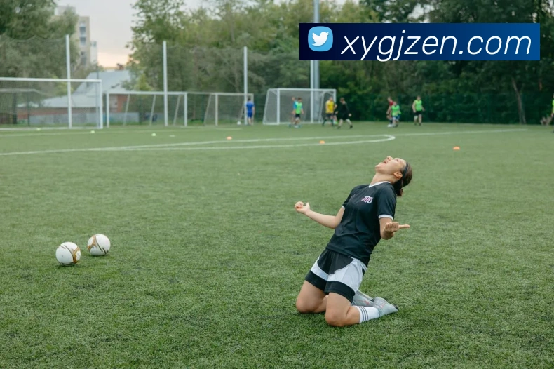 多媒体互动体验