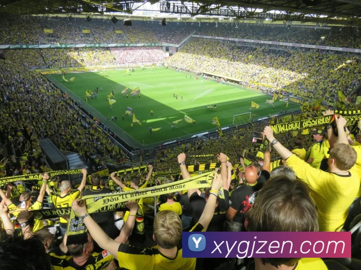 星耀国际APP 高清赛事图