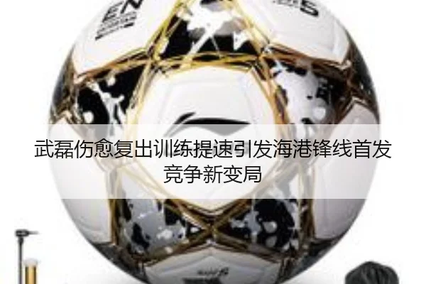 武磊伤愈复出训练提速引发海港锋线首发竞争新变局